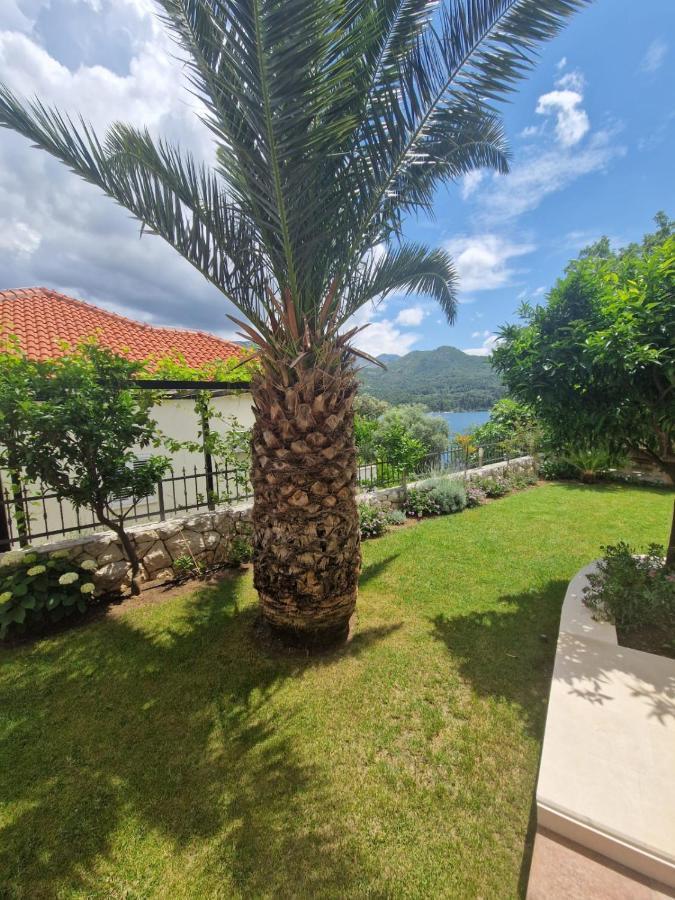 Villa Lukic Apartments Slano Dış mekan fotoğraf