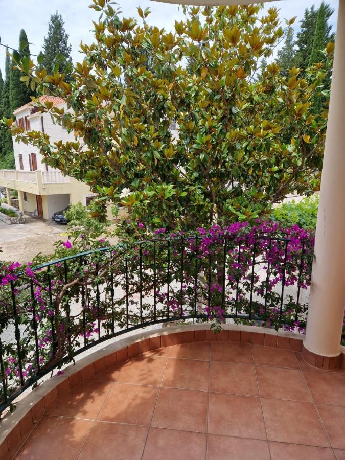 Villa Lukic Apartments Slano Dış mekan fotoğraf